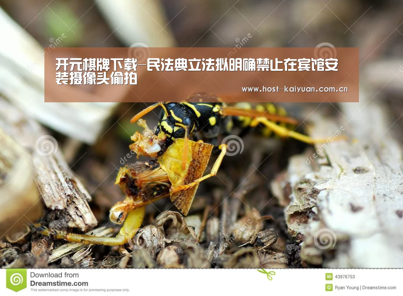 开元棋牌下载-民法典立法拟明确禁止在宾馆安装摄像头偷拍(图4) 开元棋牌电脑版